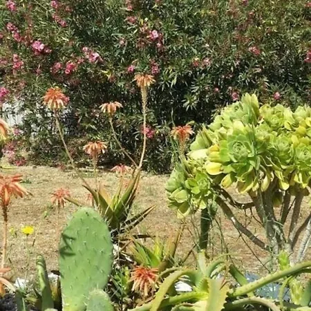 Grosse In Mit Moeblierter Terrasse